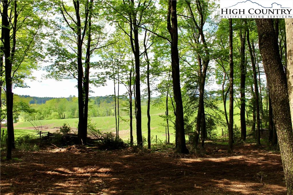 Image number 6 for the current listing