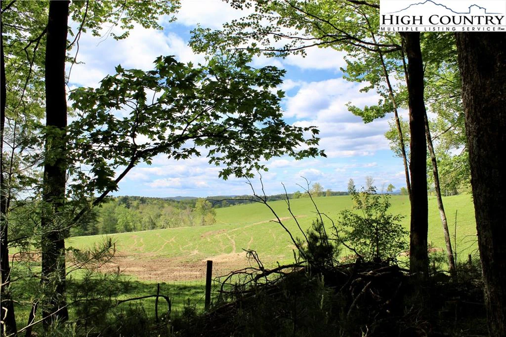 Image number 7 for the current listing