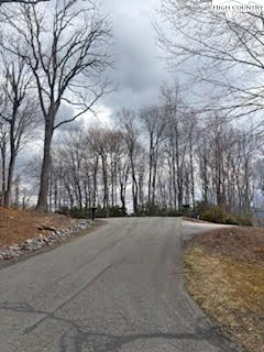 Image number 4 for the current listing