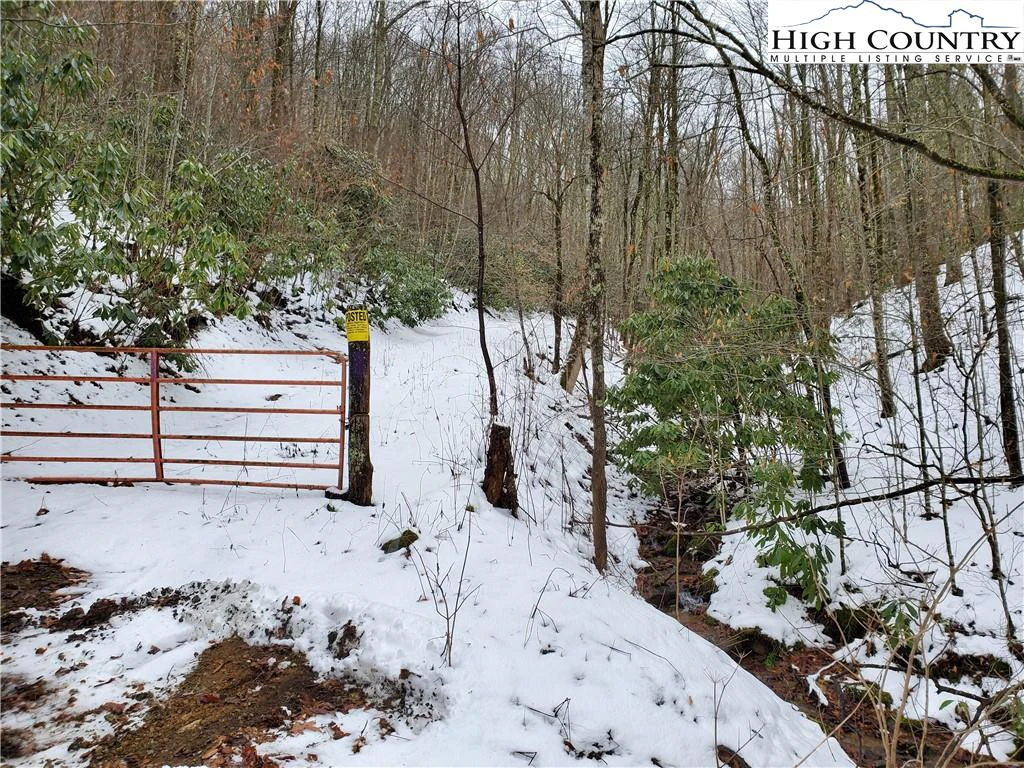Image number 1 for the current listing