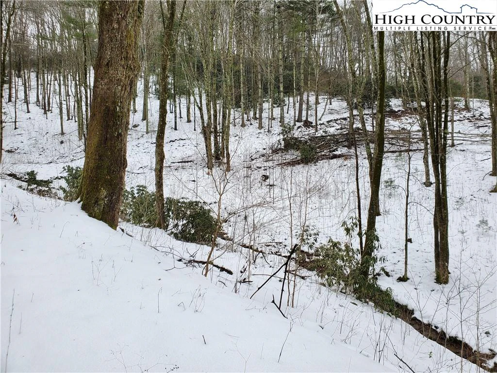 Image number 7 for the current listing