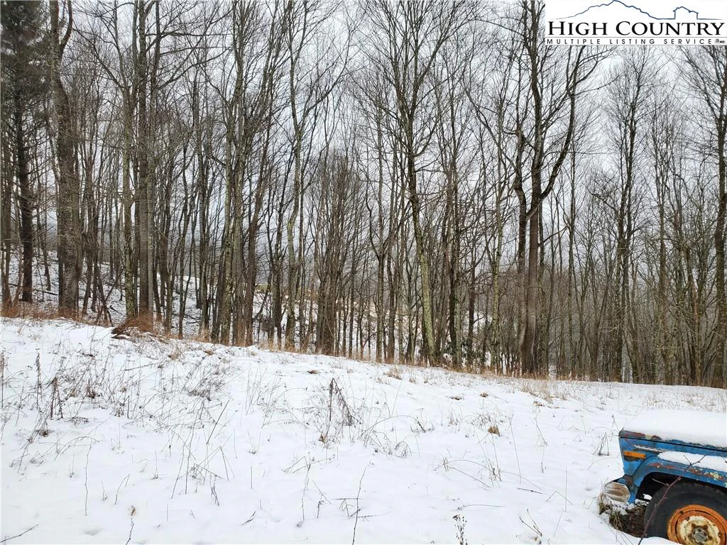 Image number 9 for the current listing