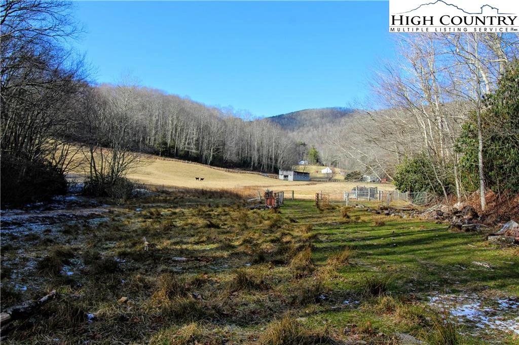 Image number 1 for the current listing