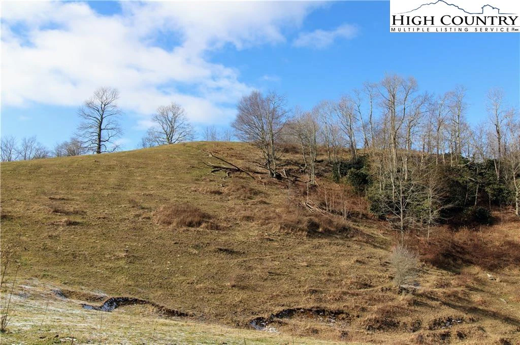 Image number 21 for the current listing