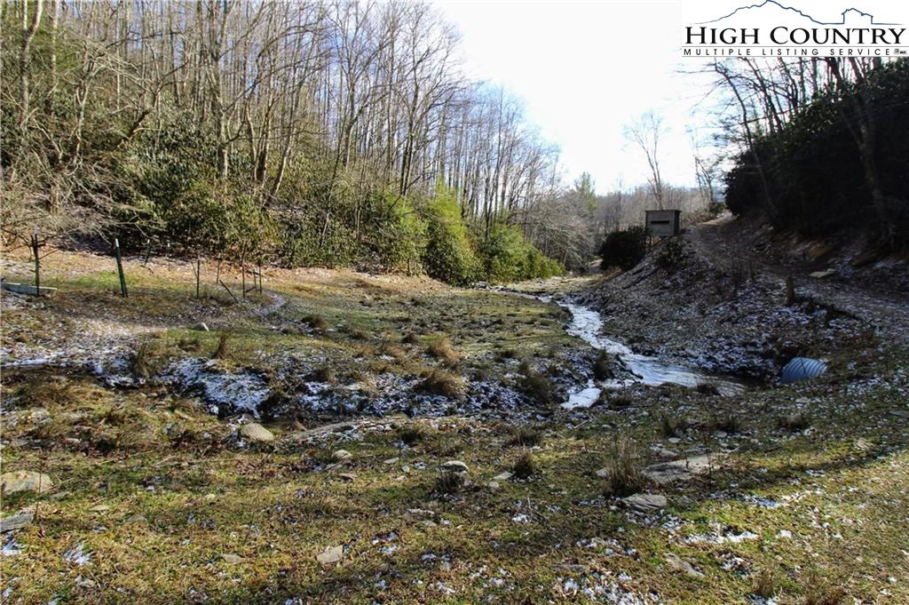 Image number 2 for the current listing