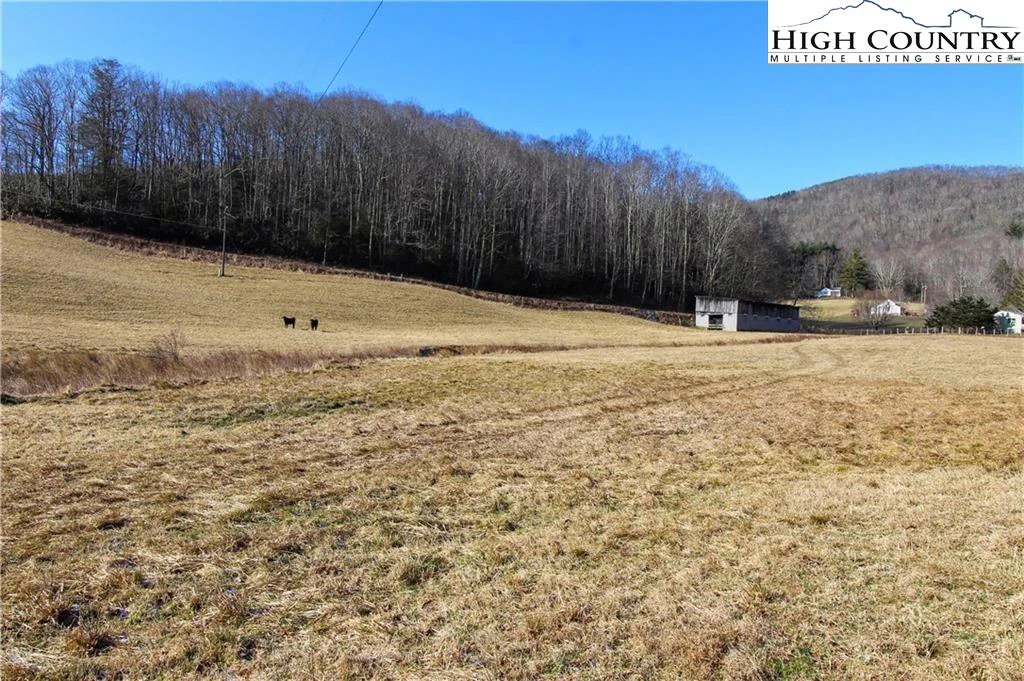 Image number 13 for the current listing