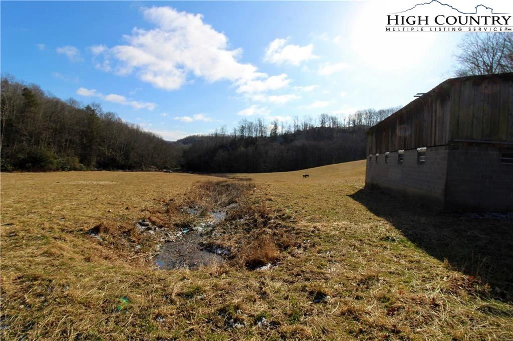 Image number 11 for the current listing