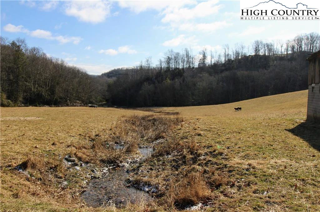 Image number 10 for the current listing