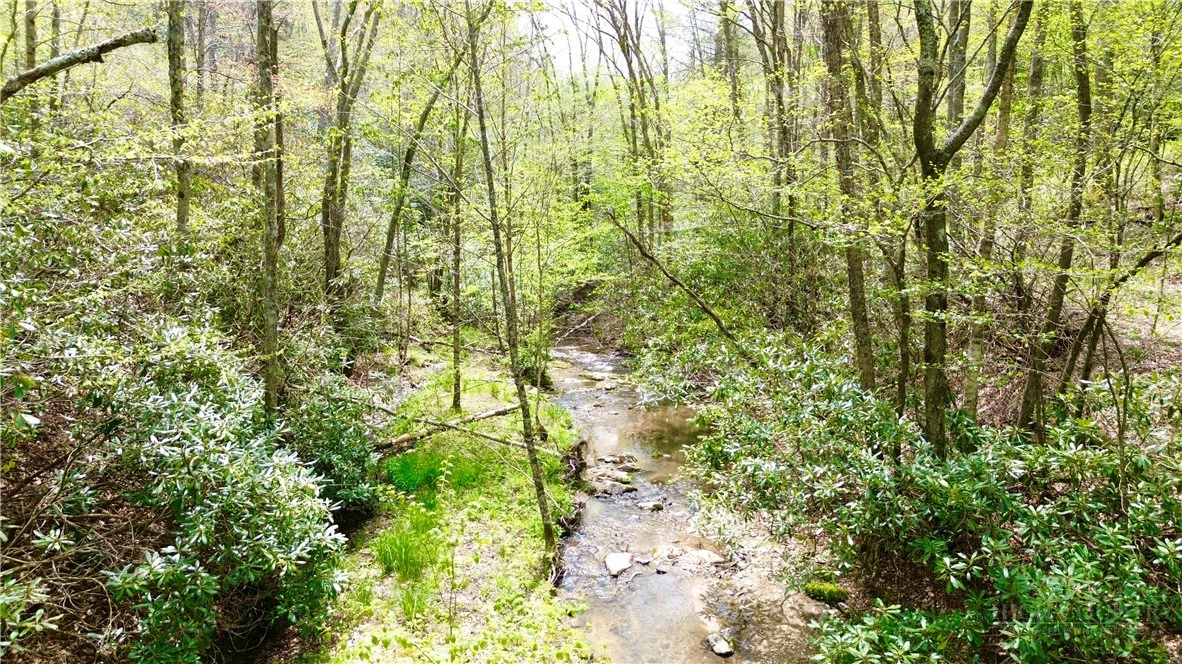 Image number 1 for the current listing