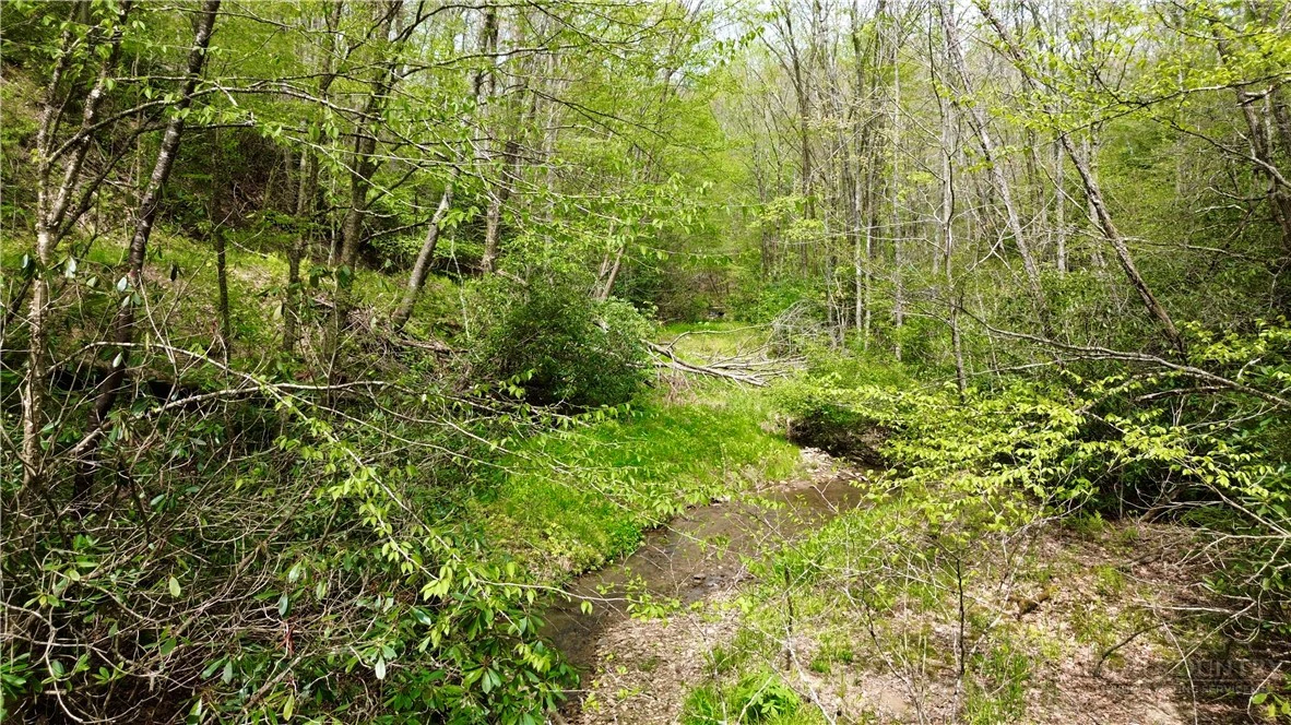 Image number 3 for the current listing