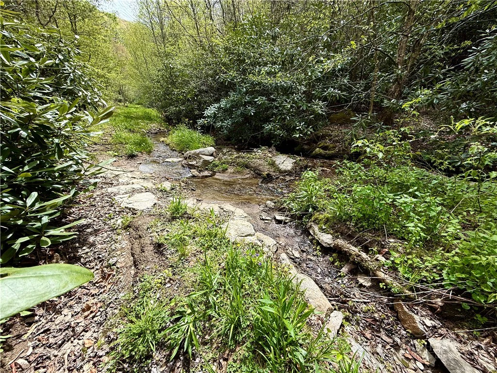 Image number 4 for the current listing