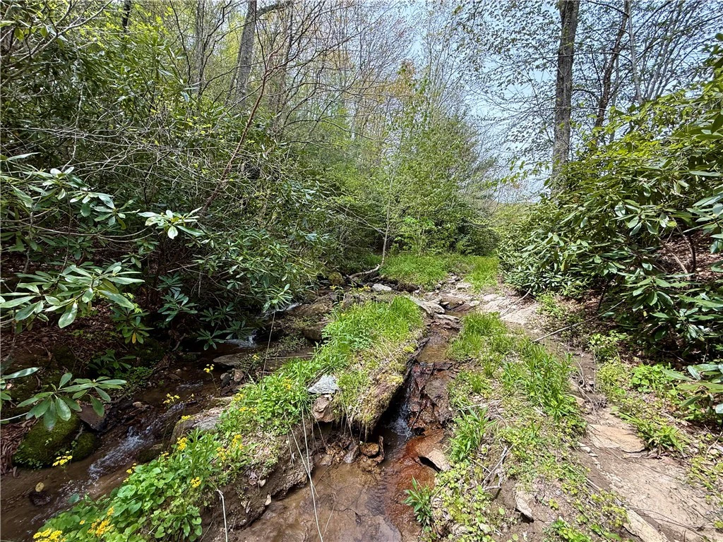 Image number 6 for the current listing