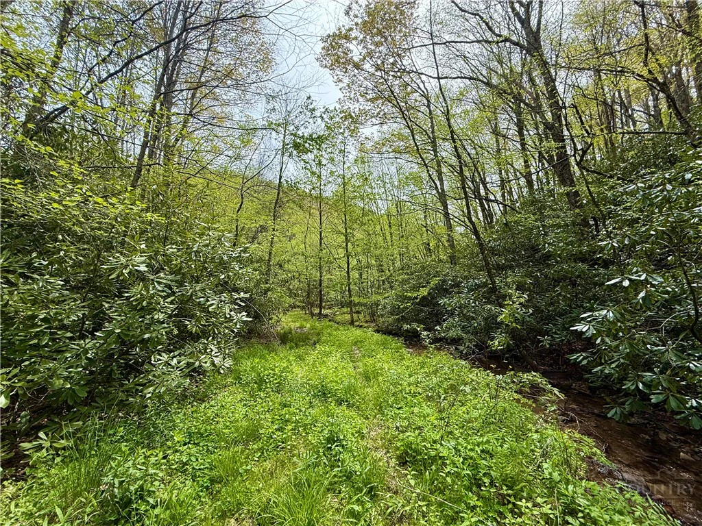 Image number 7 for the current listing