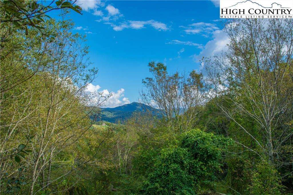 Image number 1 for the current listing