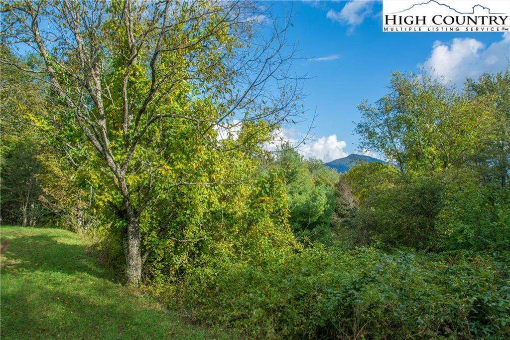 Image number 3 for the current listing