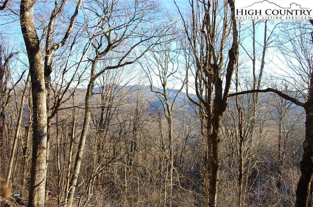 Image number 5 for the current listing