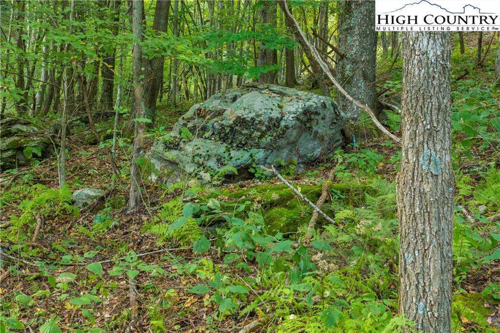 Image number 6 for the current listing