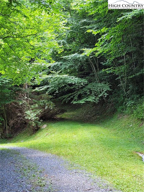 Image number 5 for the current listing