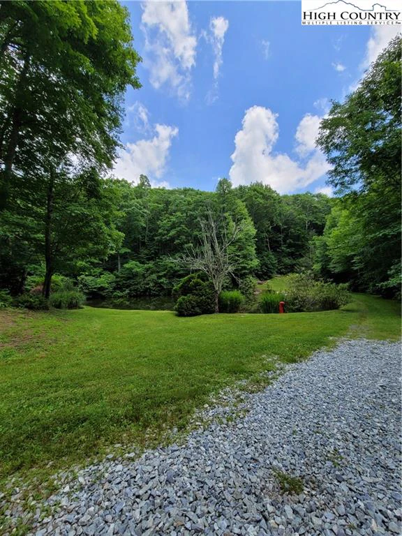 Image number 6 for the current listing