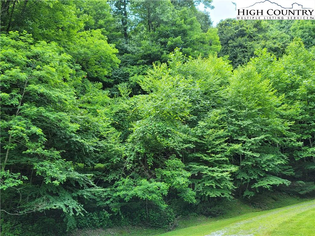 Image number 7 for the current listing