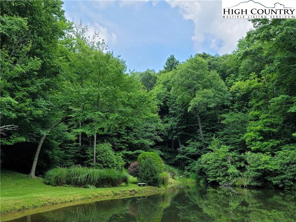 Image number 8 for the current listing