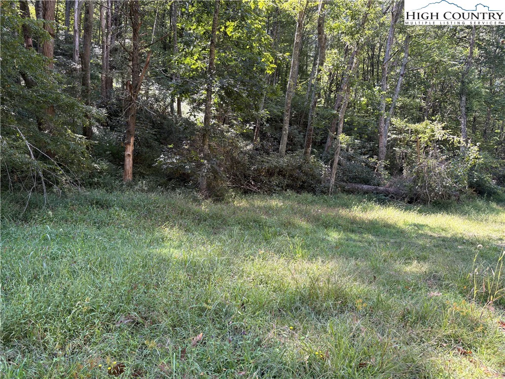 Image number 1 for the current listing