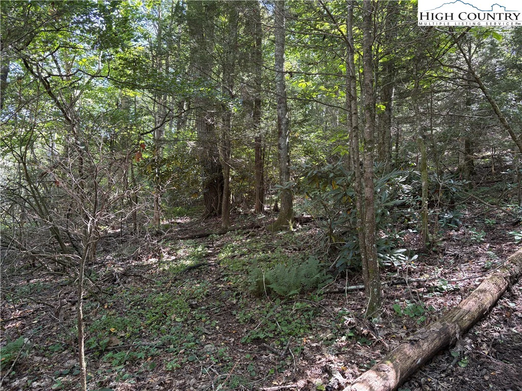Image number 5 for the current listing