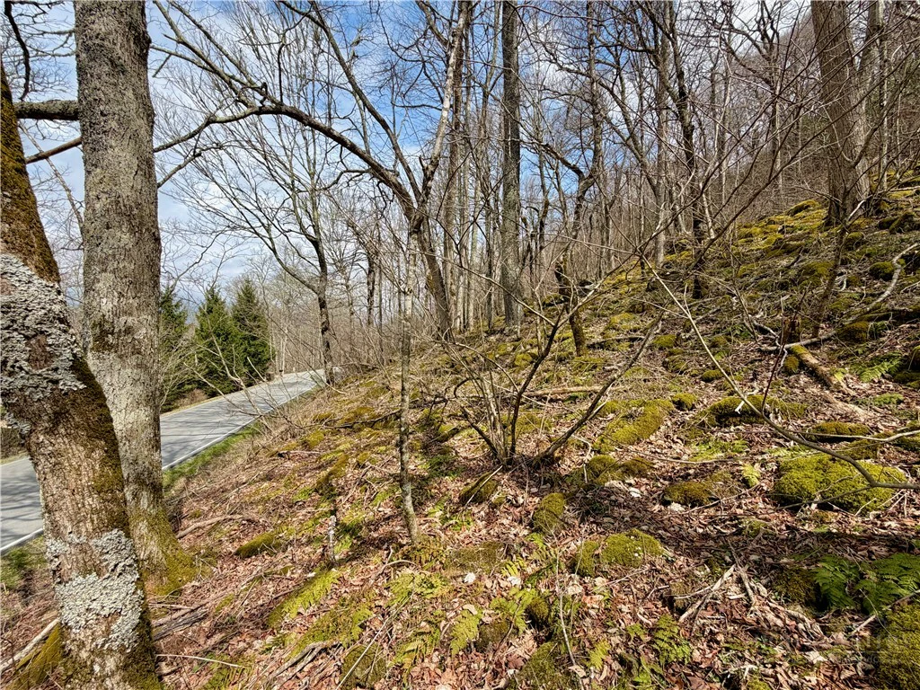 Image number 8 for the current listing
