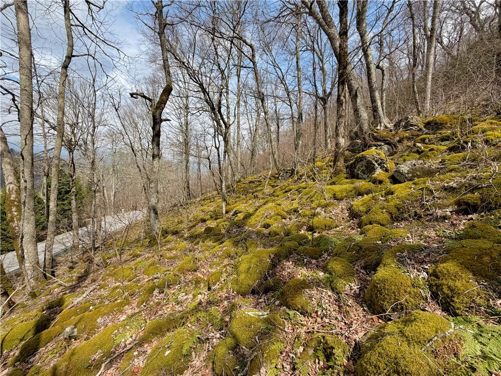 Image number 9 for the current listing