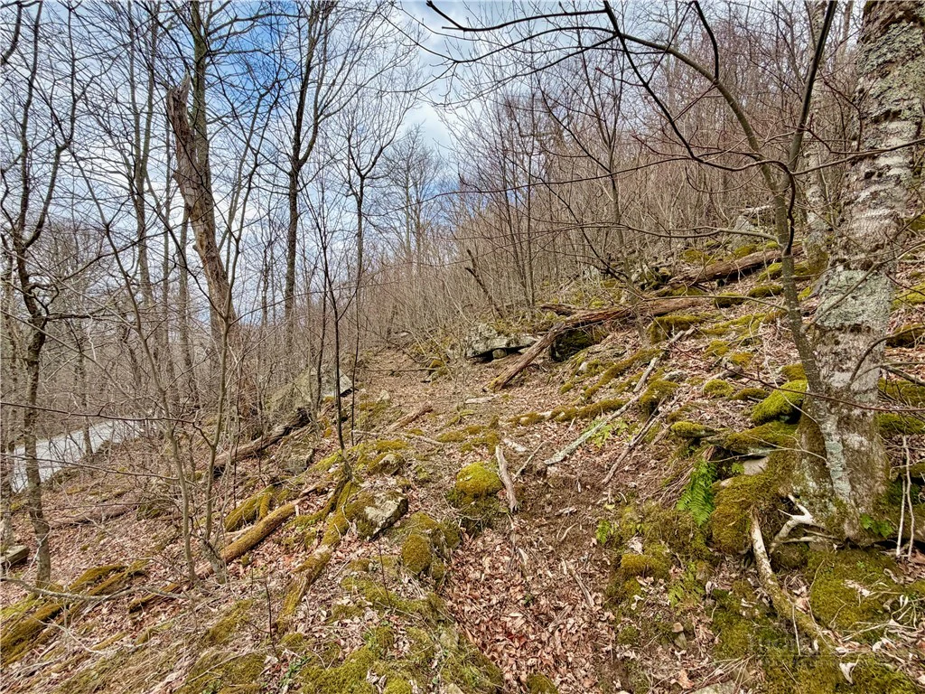 Image number 11 for the current listing