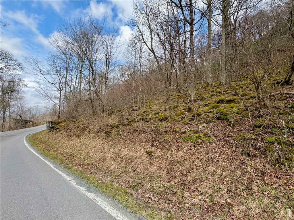 Image number 13 for the current listing
