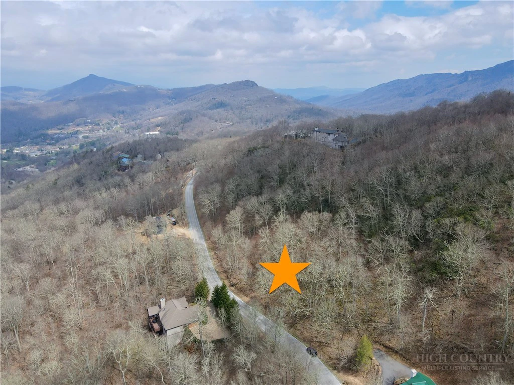 Image number 1 for the current listing