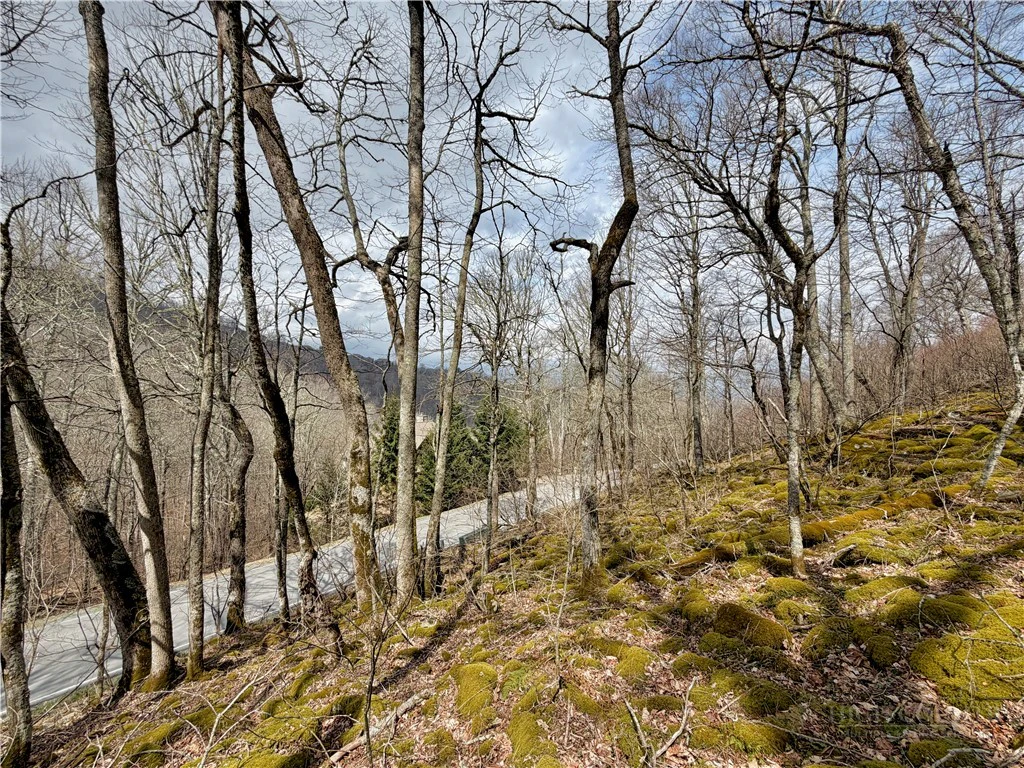 Image number 3 for the current listing