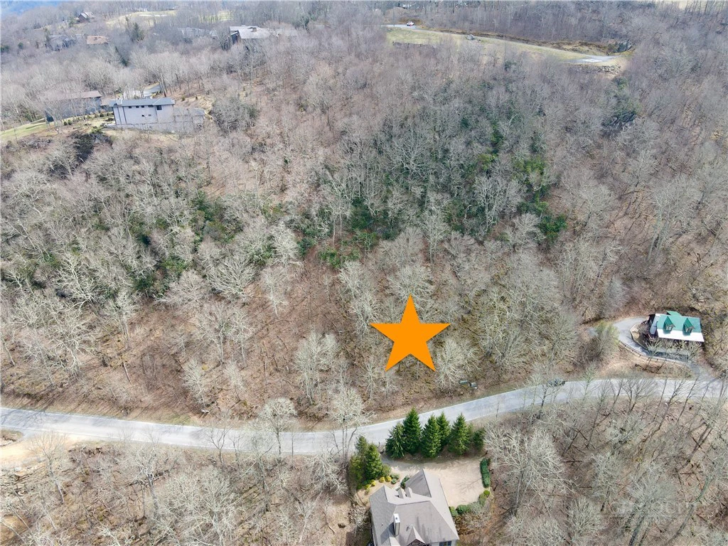 Image number 7 for the current listing