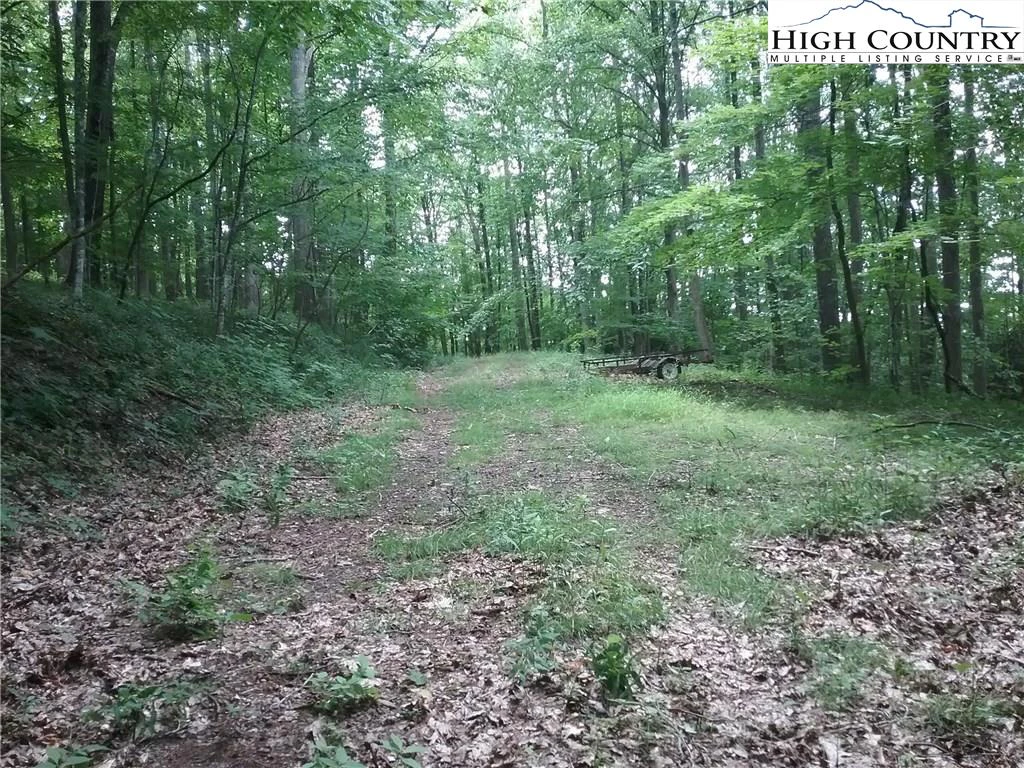 Image number 4 for the current listing