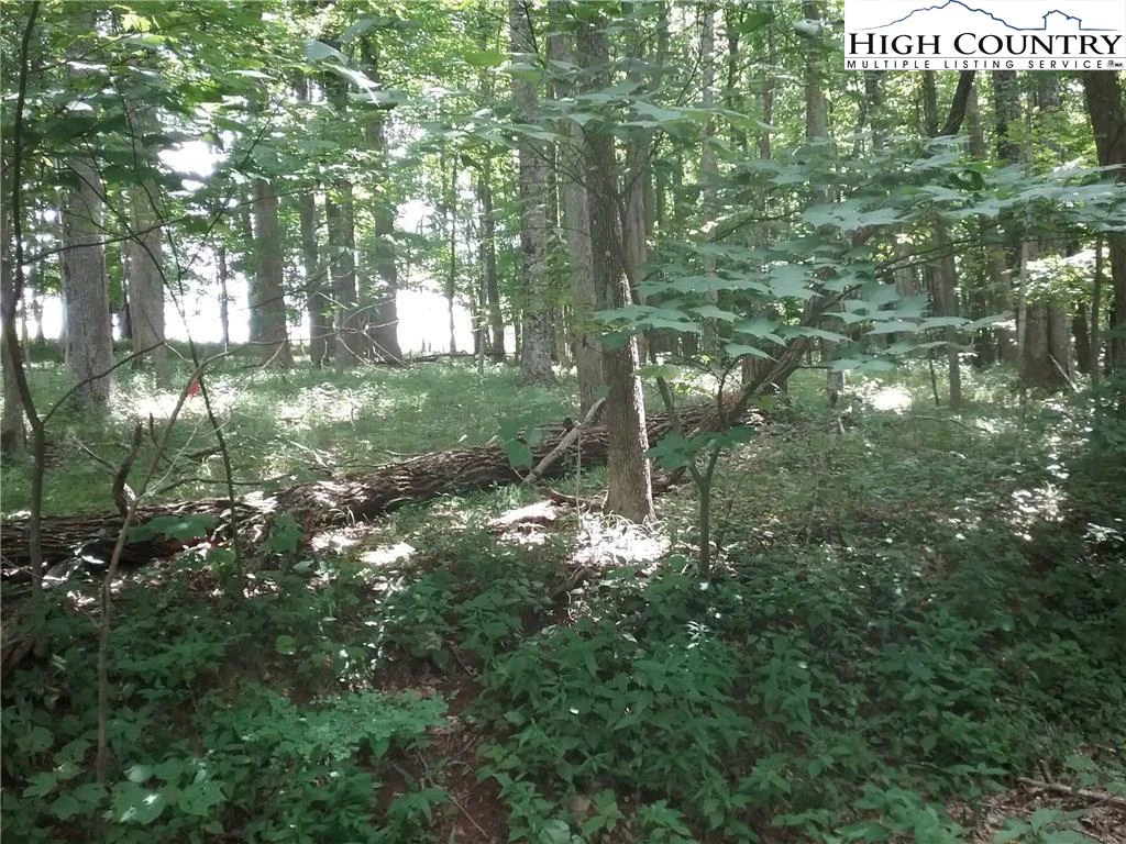 Image number 5 for the current listing
