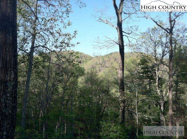 Image number 1 for the current listing