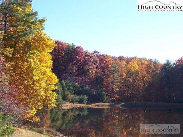 Image number 16 for the current listing
