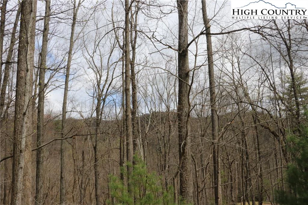 Image number 3 for the current listing