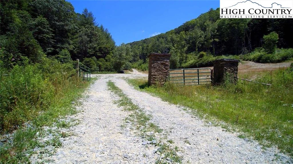 Image number 3 for the current listing