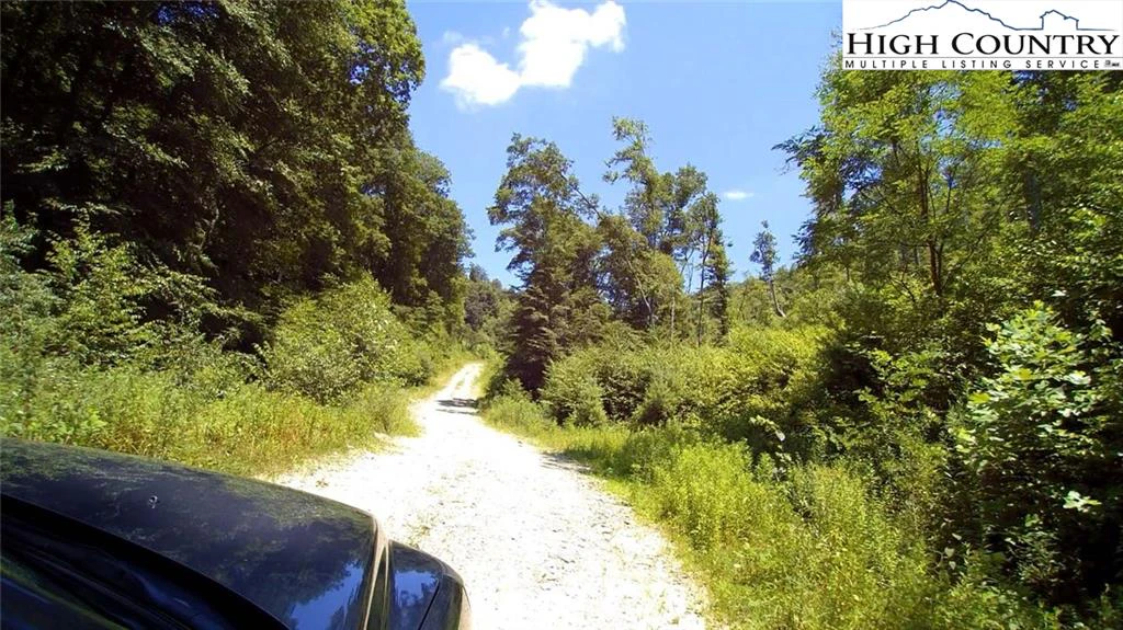 Image number 4 for the current listing