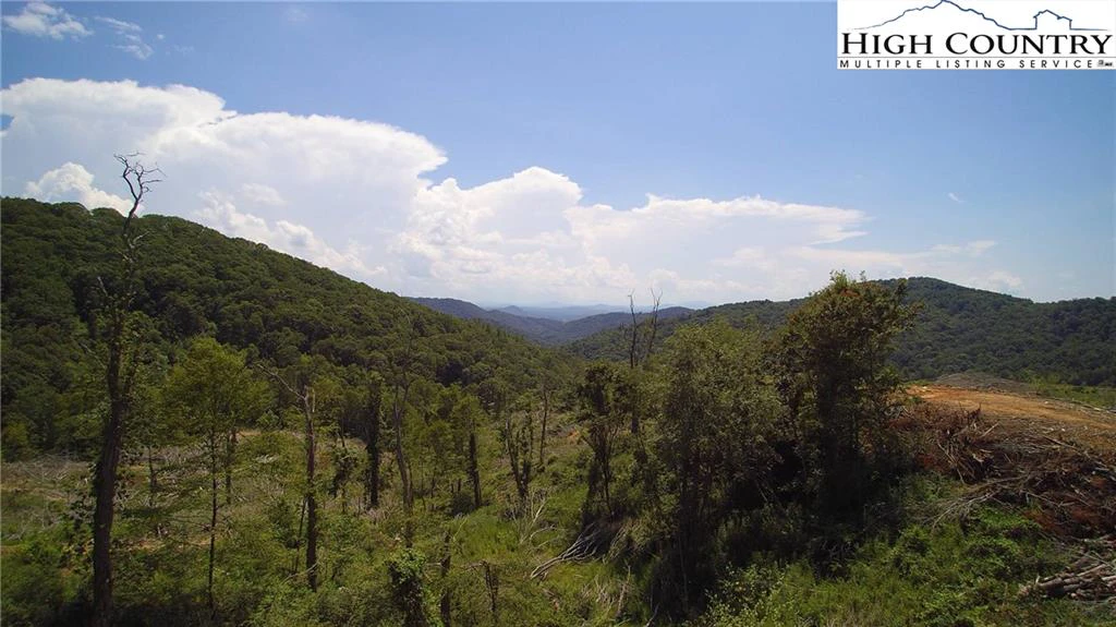 Image number 6 for the current listing