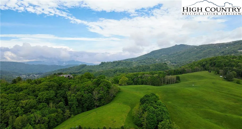 Image number 1 for the current listing