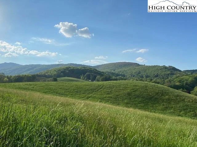 Image number 3 for the current listing