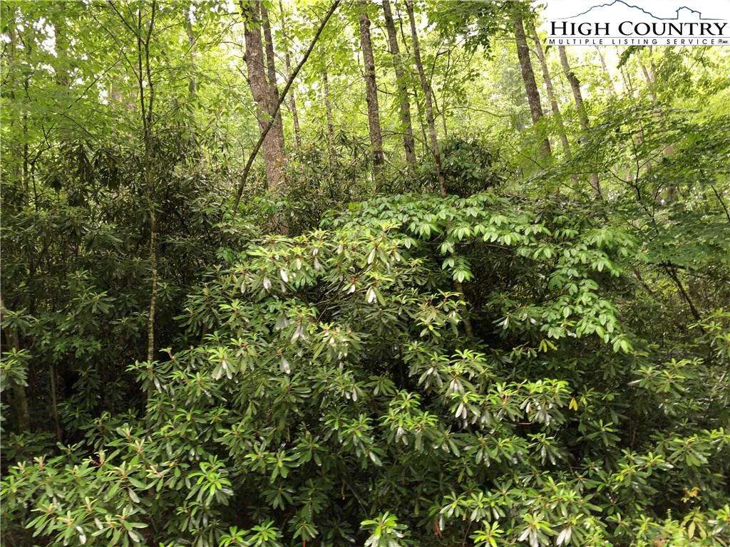Image number 1 for the current listing