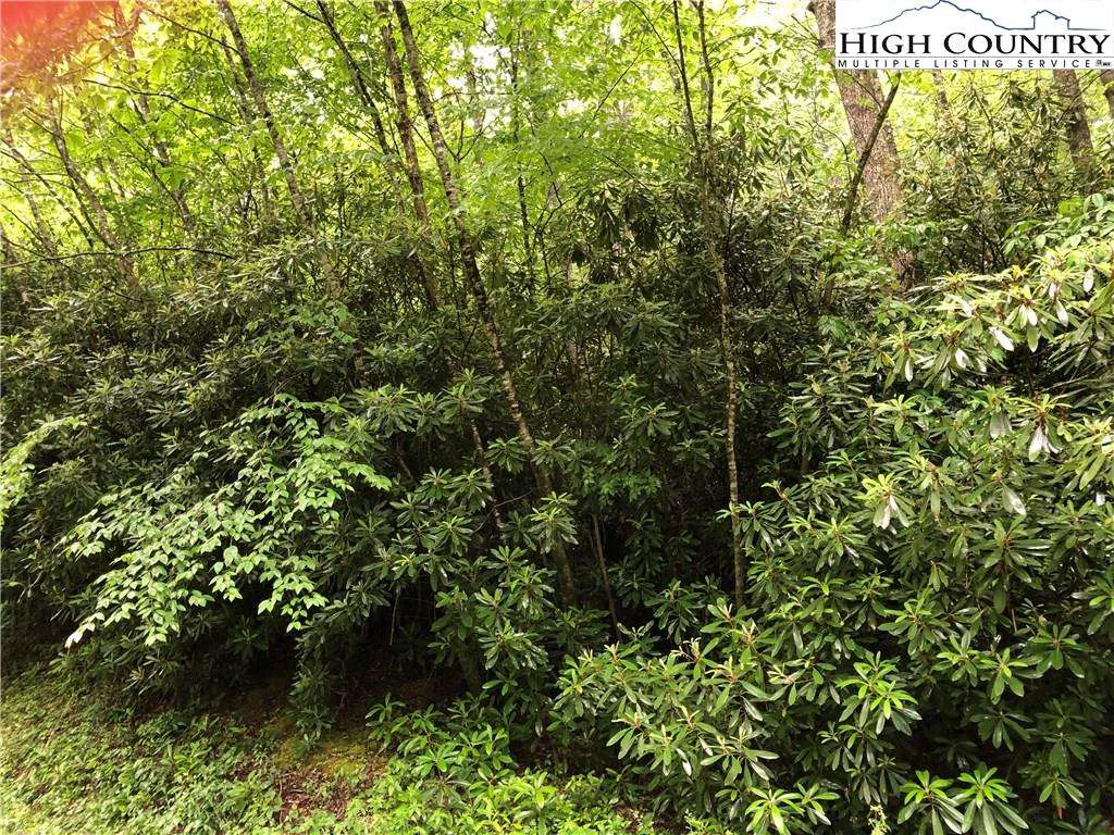 Image number 3 for the current listing