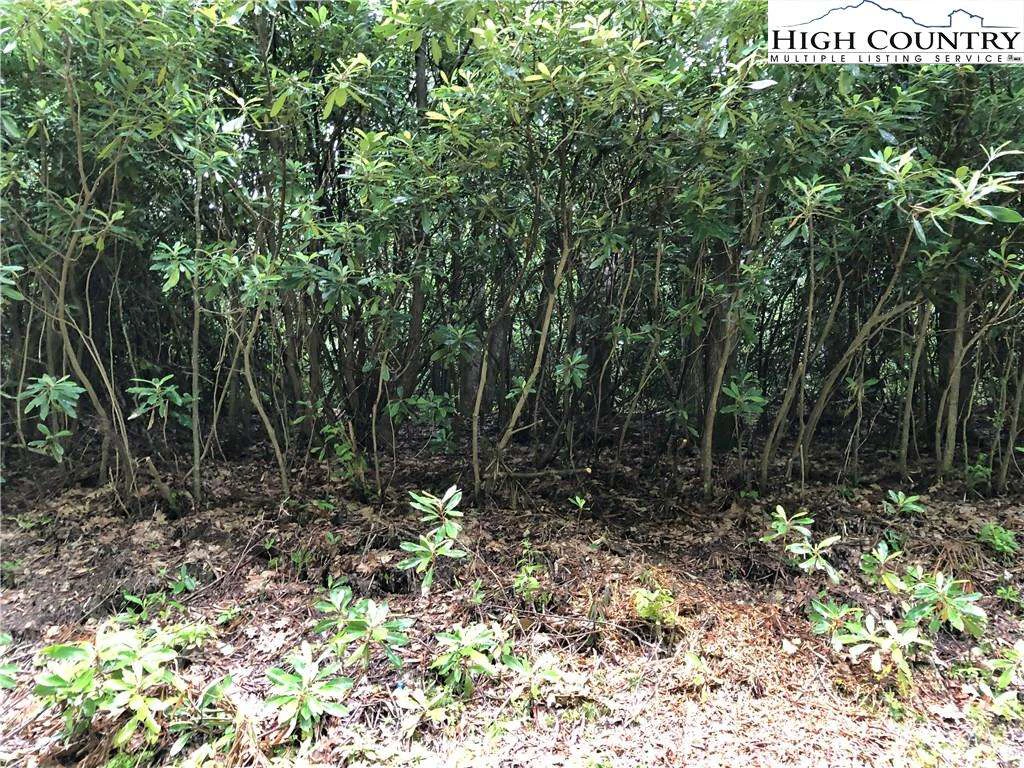Image number 1 for the current listing