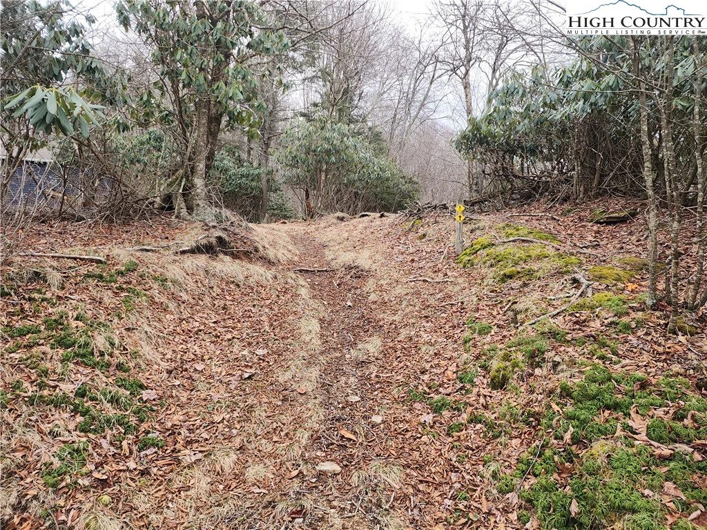 Image number 3 for the current listing