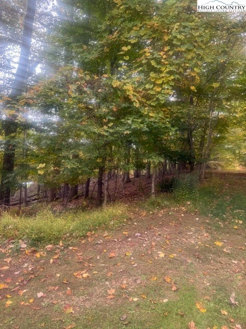 Image number 1 for the current listing