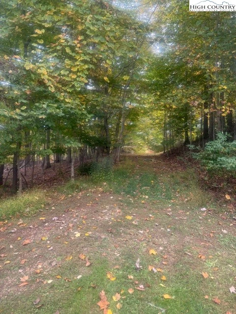 Image number 3 for the current listing